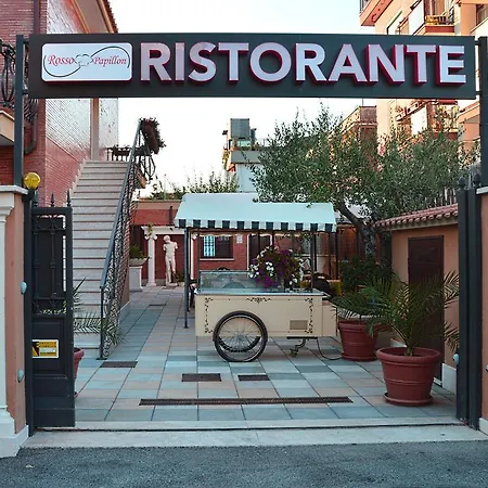 Hotel Maximo